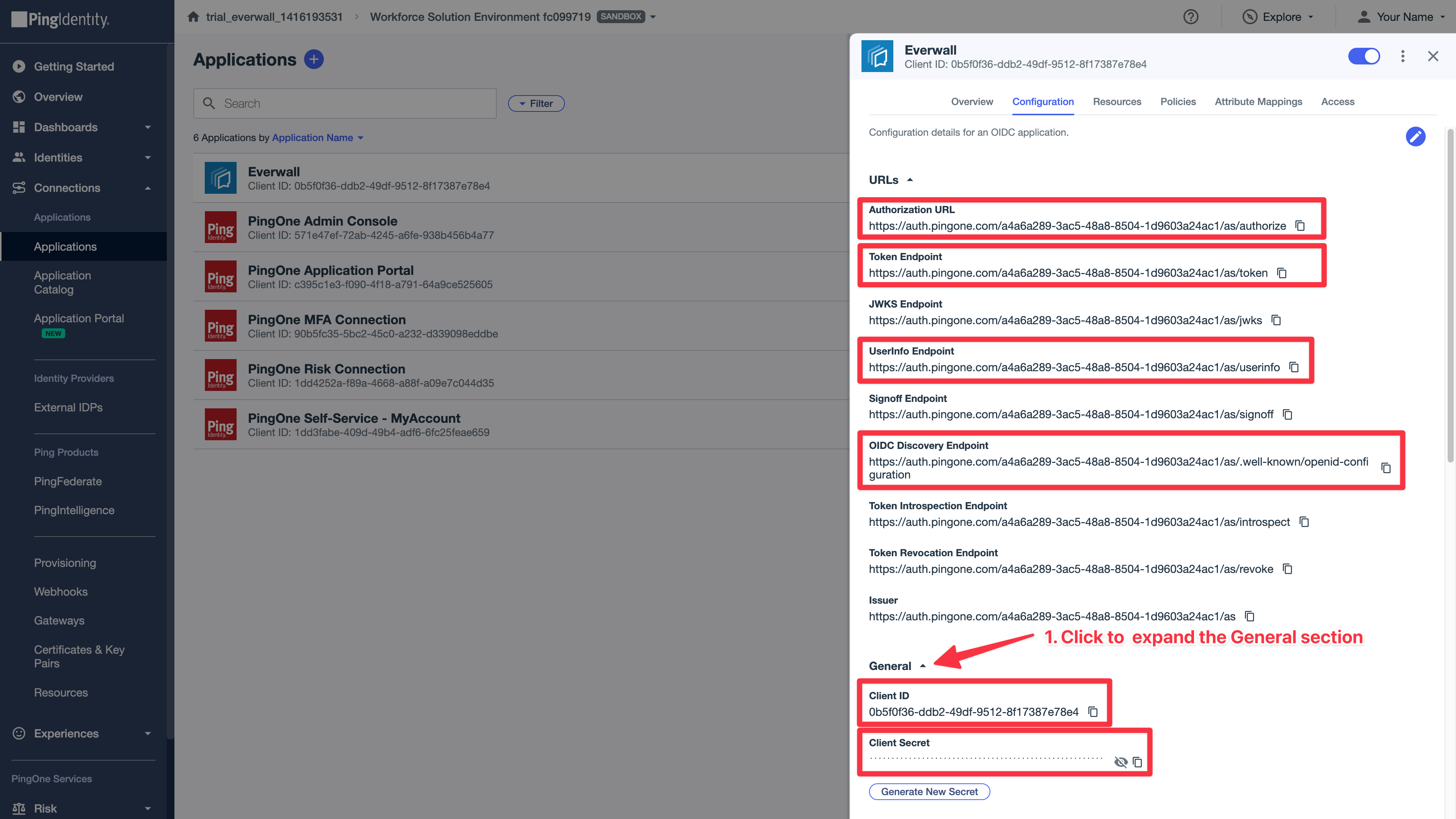 enterprise-sso-ping-identity-copy-settings